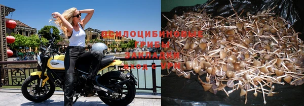 таблы Ельня