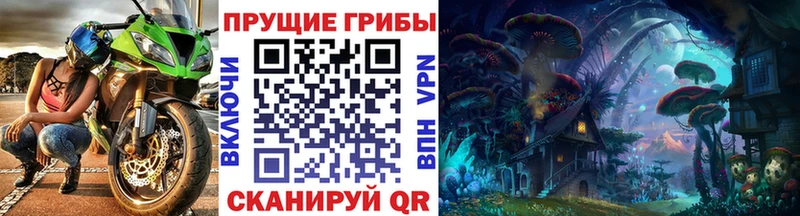 Псилоцибиновые грибы MAGIC MUSHROOMS  дарнет шоп  Заволжье 