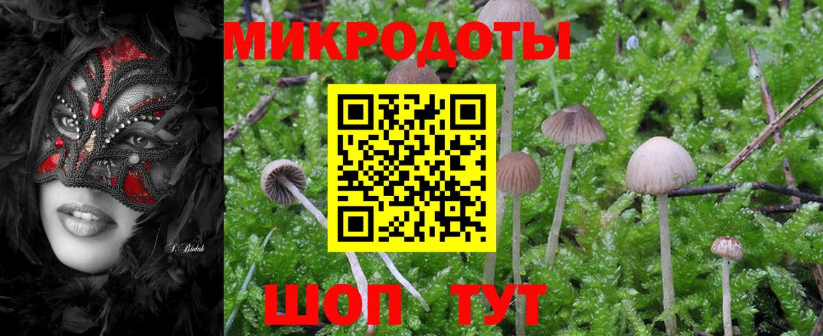 Псилоцибиновые грибы мухоморы Заволжье